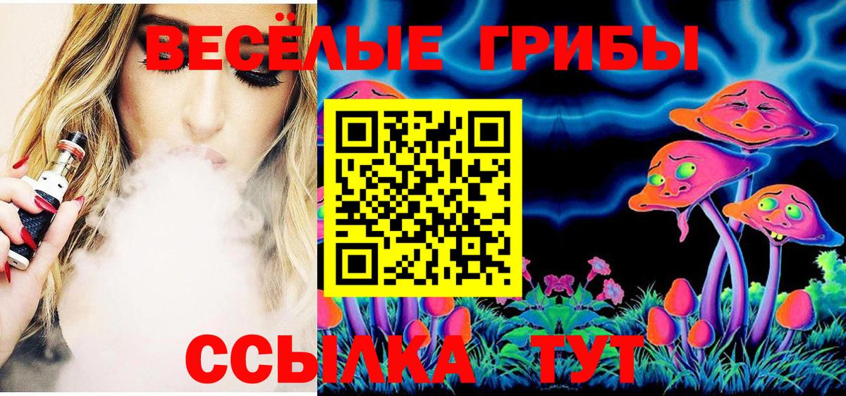 Артёмовский  Псилоцибиновые грибы прущие грибы  Вход с VPN  Галлюциногенные грибы MAGIC MUSHROOMS 